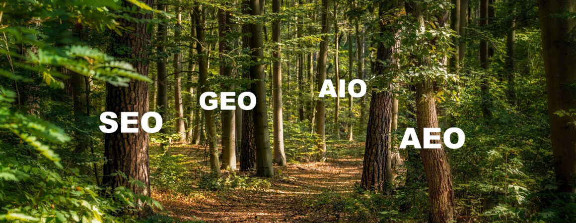 SEO, GEO, AEO en AIO: zie jij door de afkortingen het bos nog?