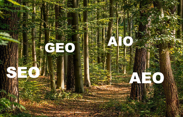 SEO, GEO, AIO, AEO: zie jij de bomen door het bos nog?
